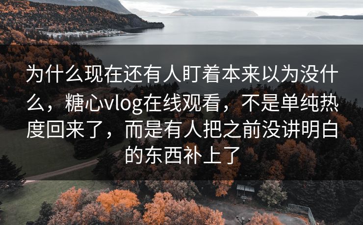 为什么现在还有人盯着本来以为没什么，糖心vlog在线观看，不是单纯热度回来了，而是有人把之前没讲明白的东西补上了