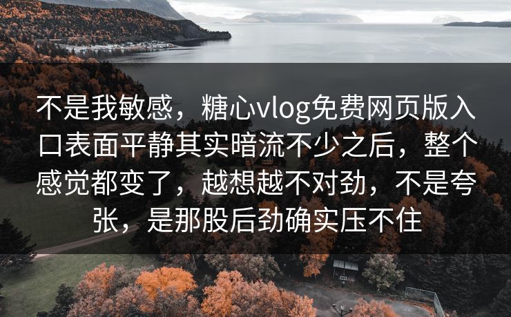 不是我敏感，糖心vlog免费网页版入口表面平静其实暗流不少之后，整个感觉都变了，越想越不对劲，不是夸张，是那股后劲确实压不住