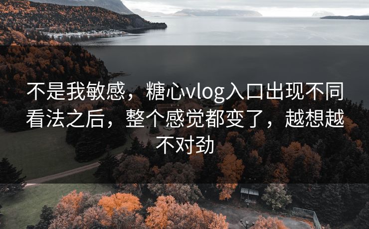 不是我敏感，糖心vlog入口出现不同看法之后，整个感觉都变了，越想越不对劲