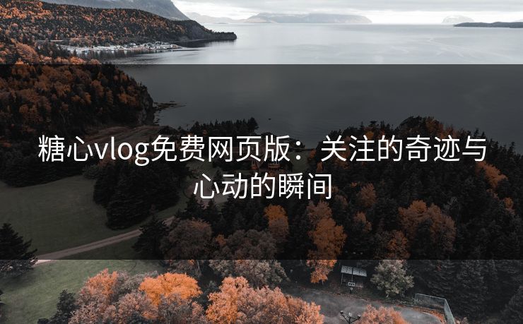 糖心vlog免费网页版：关注的奇迹与心动的瞬间