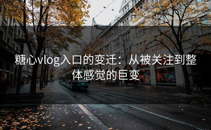 糖心vlog入口的变迁：从被关注到整体感觉的巨变