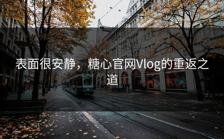 表面很安静，糖心官网Vlog的重返之道
