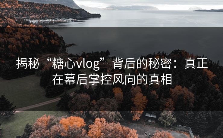 揭秘“糖心vlog”背后的秘密：真正在幕后掌控风向的真相