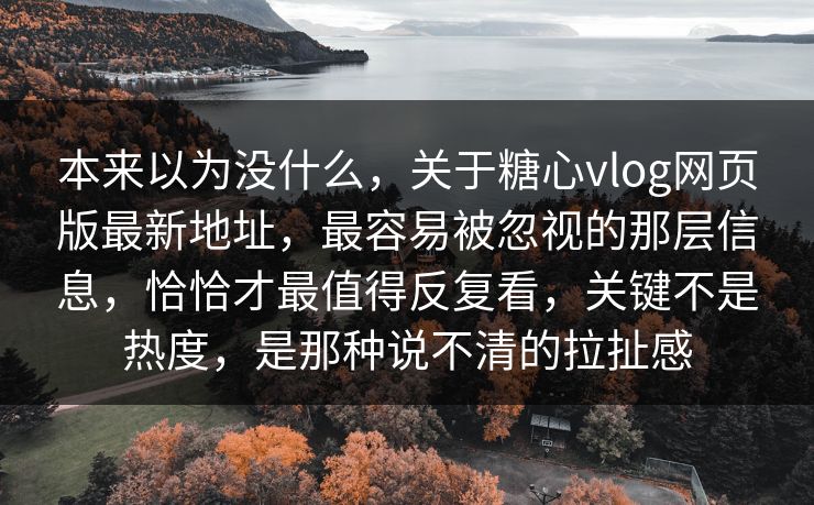 本来以为没什么，关于糖心vlog网页版最新地址，最容易被忽视的那层信息，恰恰才最值得反复看，关键不是热度，是那种说不清的拉扯感