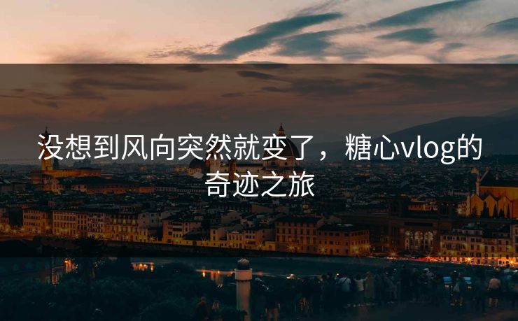 没想到风向突然就变了，糖心vlog的奇迹之旅