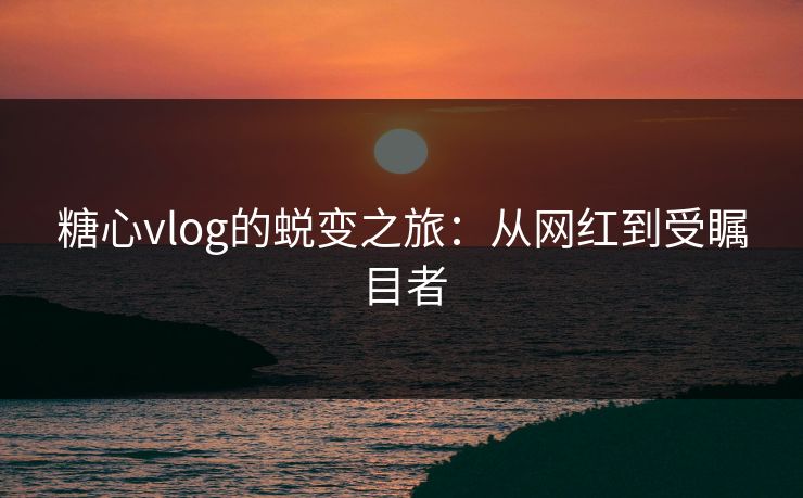糖心vlog的蜕变之旅：从网红到受瞩目者