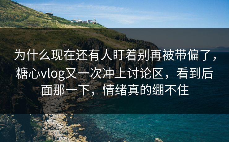 为什么现在还有人盯着别再被带偏了，糖心vlog又一次冲上讨论区，看到后面那一下，情绪真的绷不住