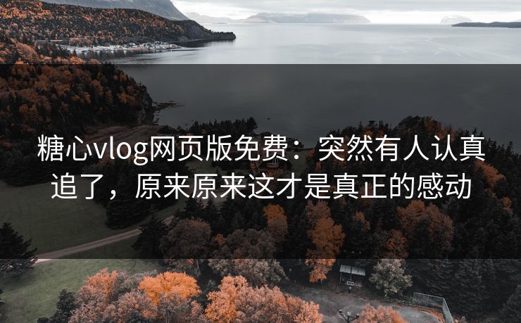 糖心vlog网页版免费:突然有人认真追了,原来原来这才是真正的感动 糖心vlog网页版免费:突然有人认真追了,原来原来这才是真正的感动